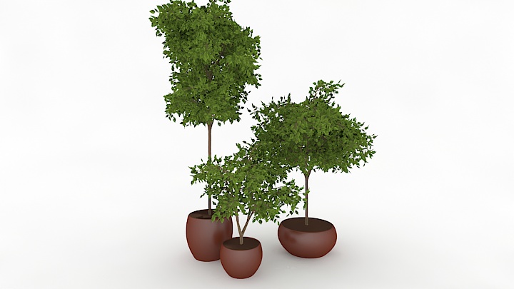 渲染模型_盆栽383