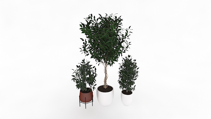 渲染模型_盆栽394