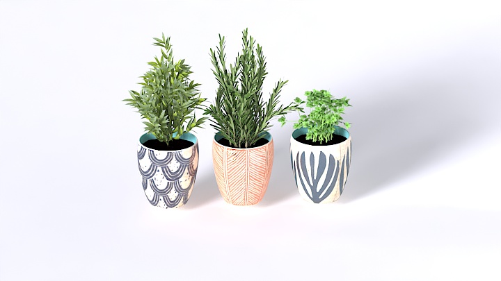 渲染模型_盆栽396