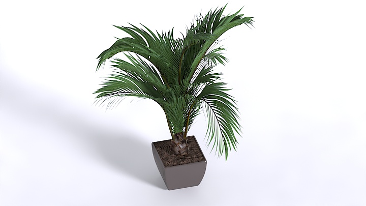 渲染模型_盆栽410