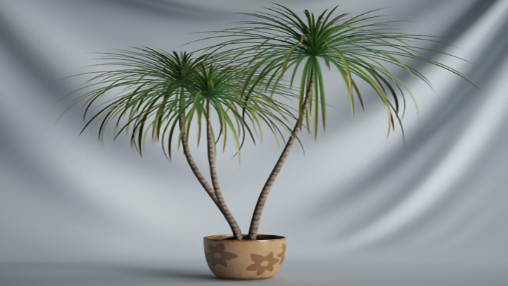 渲染模型_盆栽414