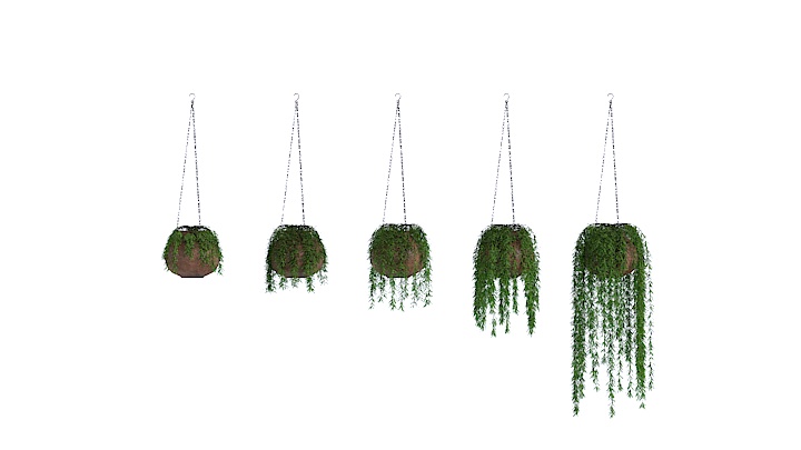 渲染模型_盆栽435