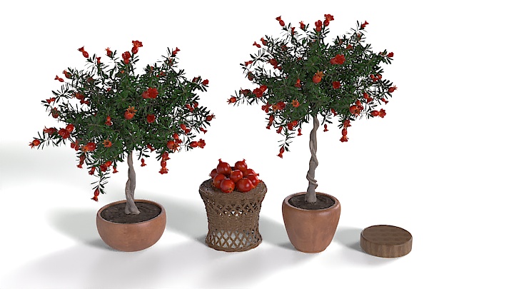 渲染模型_盆栽439