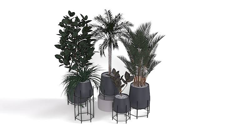 渲染模型_盆栽440