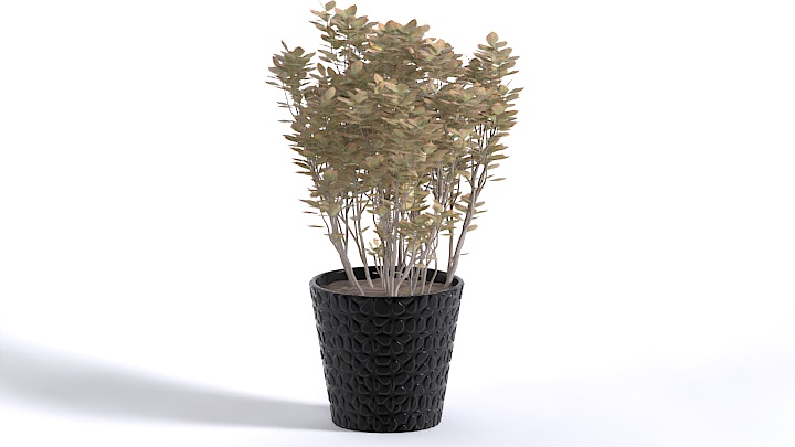 渲染模型_盆栽448