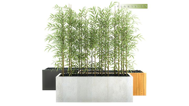 渲染模型_竹子001