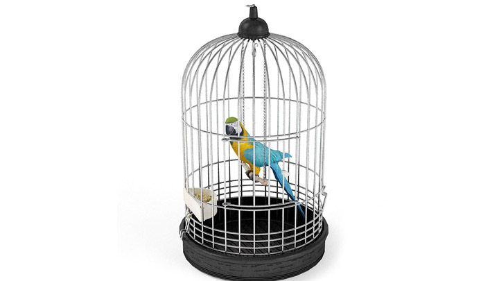 渲染模型_笼子006