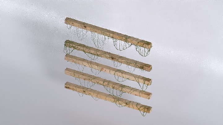 渲染模型_绿植038