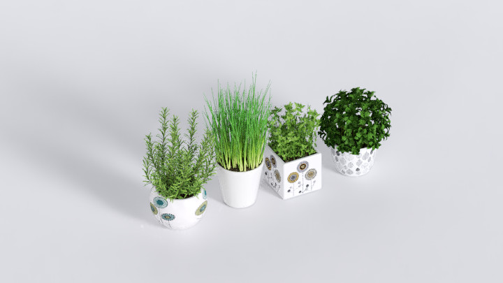 渲染模型_绿植043