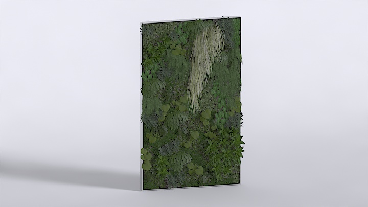 渲染模型_花园植物003