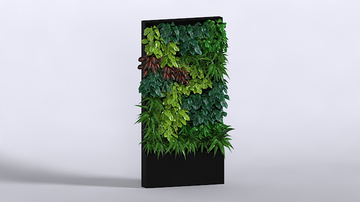 渲染模型_花园植物004