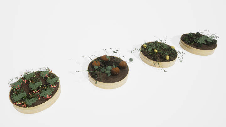 渲染模型_花盆030