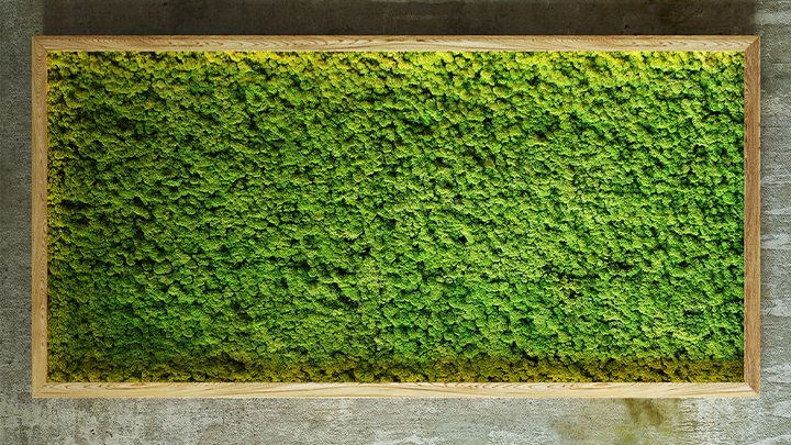 渲染模型_苔藓001