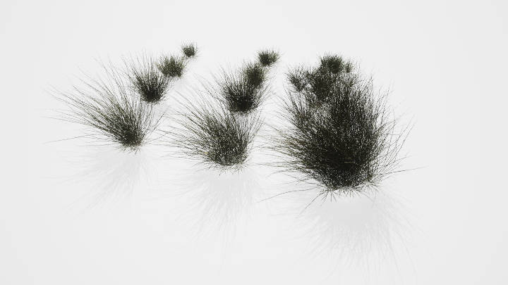 渲染模型_草丛002