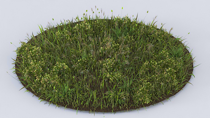 渲染模型_草坪001