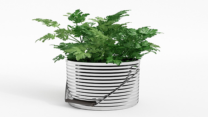 渲染模型_蔬菜009