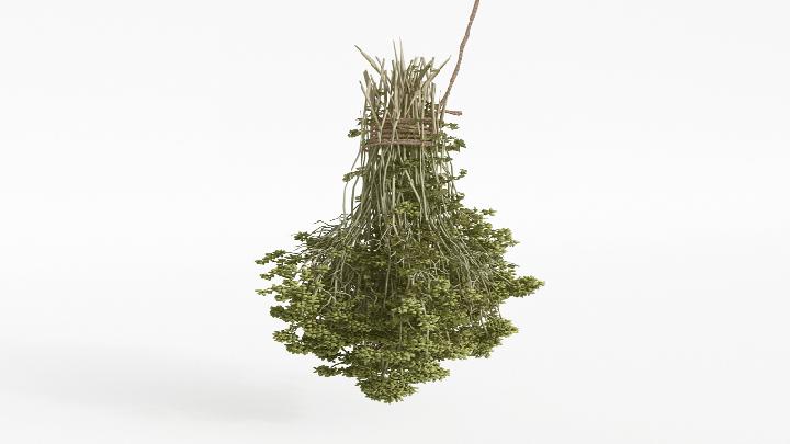 渲染模型_蔬菜水果038