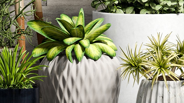 渲染模型_装饰260