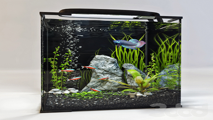 渲染模型_鱼缸003