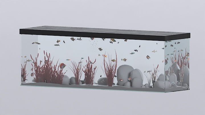 渲染模型_鱼缸005