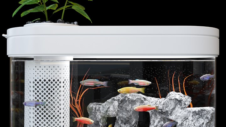 渲染模型_鱼缸008