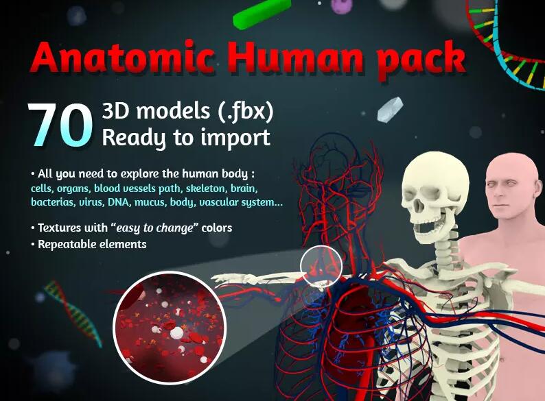 Anatomic Pack v1.04人体器官