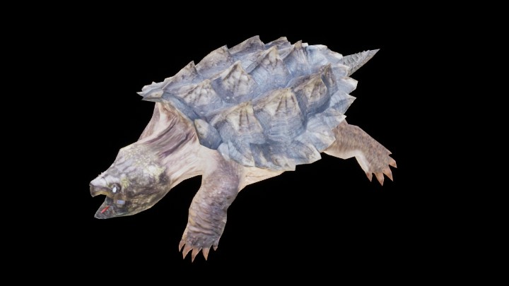 UE项目资源_模型资源_乌龟005