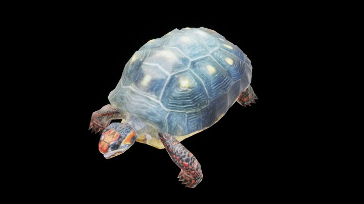 UE项目资源_模型资源_乌龟006