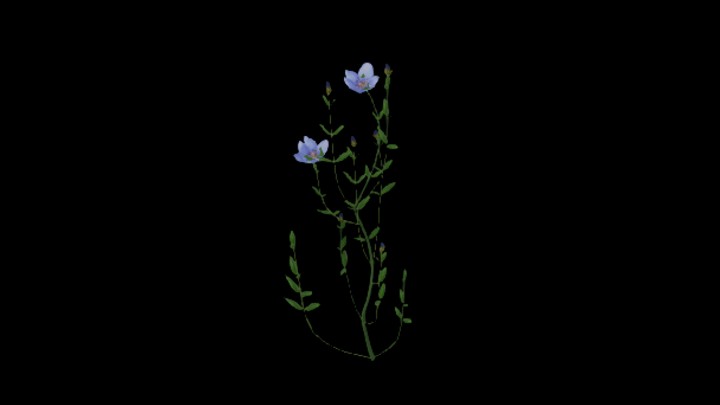 UE项目资源_模型资源_亚麻002