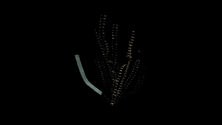 UE项目资源_模型资源_仙人掌088