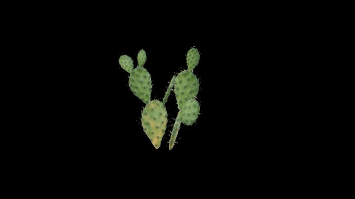 UE项目资源_模型资源_仙人掌096