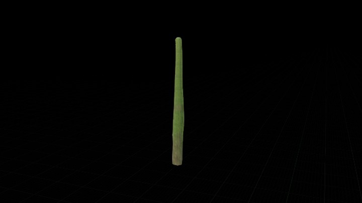 UE项目资源_模型资源_仙人掌110