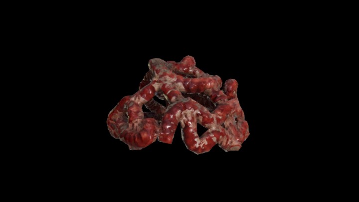 UE项目资源_模型资源_内脏002