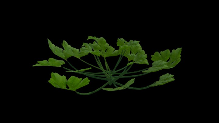 UE项目资源_模型资源_南瓜藤003