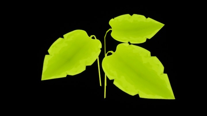 UE项目资源_模型资源_叶子021