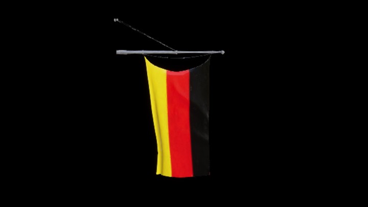 UE项目资源_模型资源_国旗007