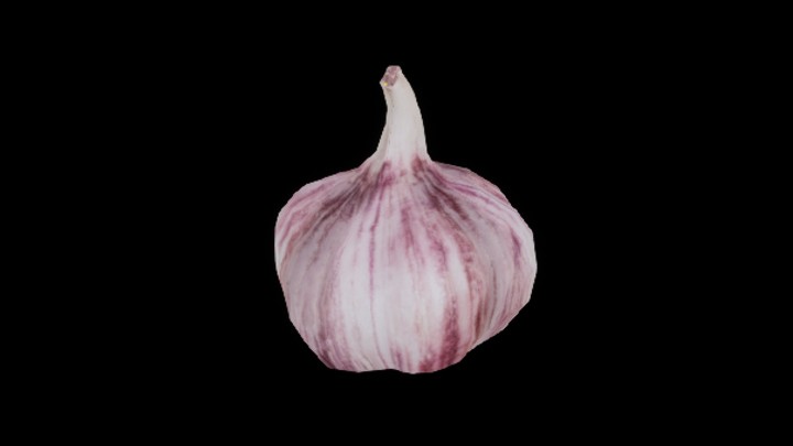 UE项目资源_模型资源_大蒜013