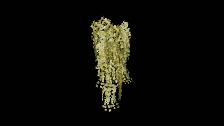 UE项目资源_模型资源_常春藤004