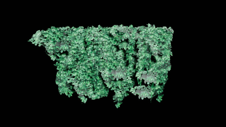 UE项目资源_模型资源_常春藤006