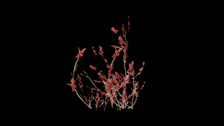 UE项目资源_模型资源_常春藤010