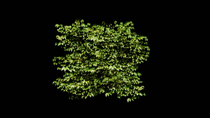 UE项目资源_模型资源_常春藤018