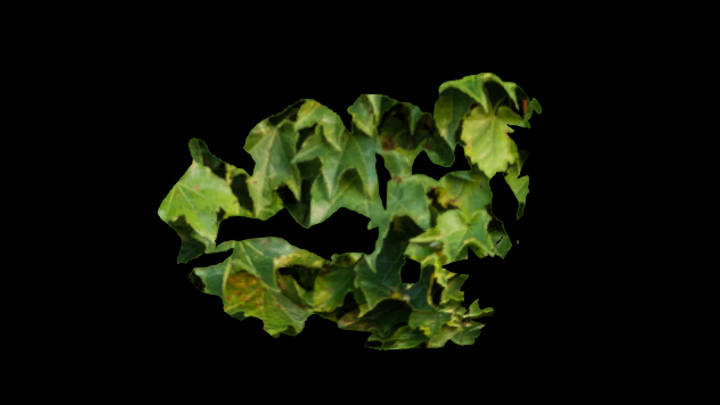 UE项目资源_模型资源_常春藤042