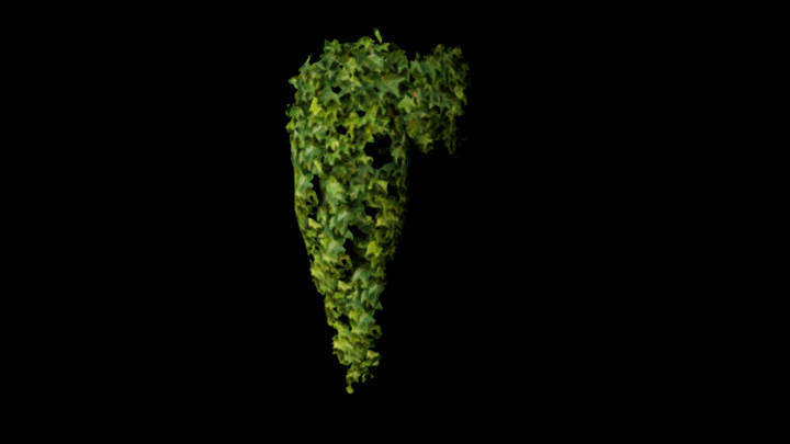 UE项目资源_模型资源_常春藤071