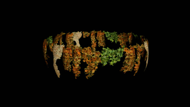 UE项目资源_模型资源_常春藤074