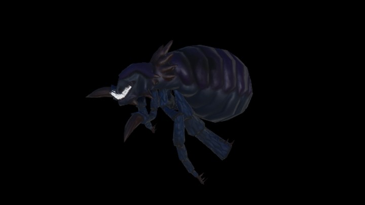 UE项目资源_模型资源_怪物008