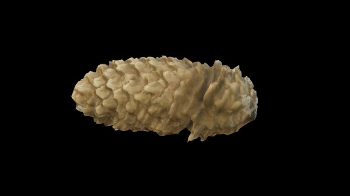 UE项目资源_模型资源_松果008