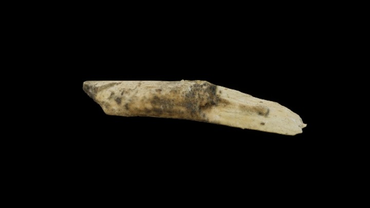 UE项目资源_模型资源_松果011