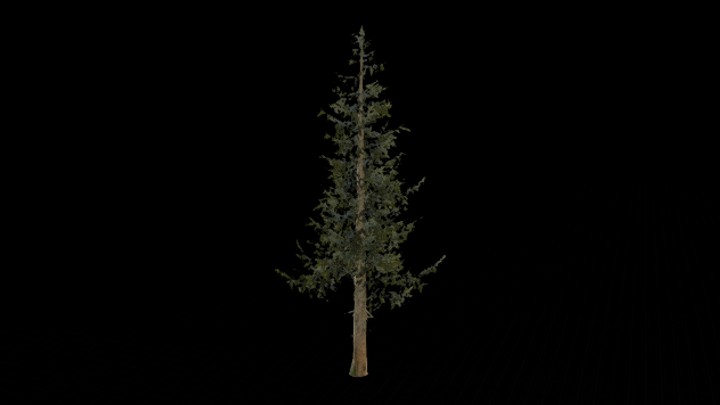 UE项目资源_模型资源_松树062