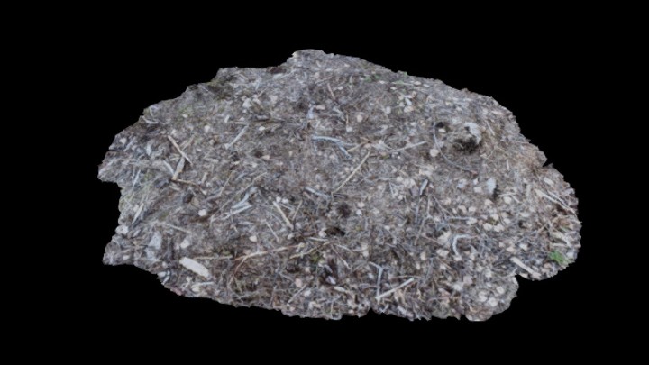 UE项目资源_模型资源_林地029