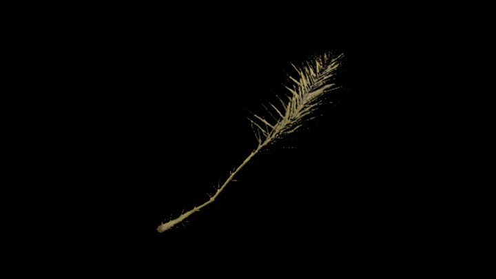 UE项目资源_模型资源_枯叶023